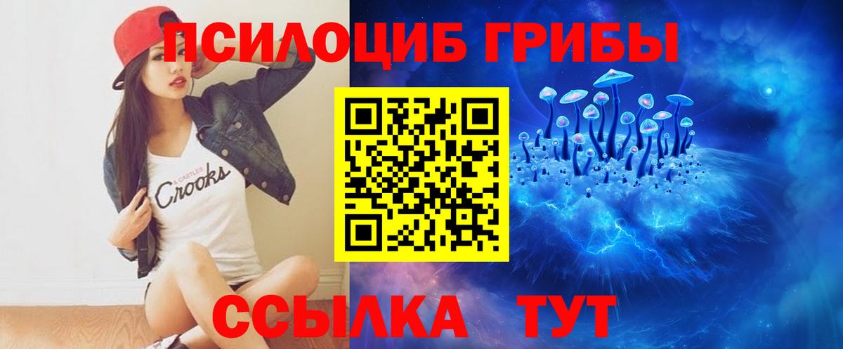 где купить наркотик  Псилоцибиновые грибы Magic Shrooms  Вход с VPN  Берёзовский  Галлюциногенные грибы ЛСД 