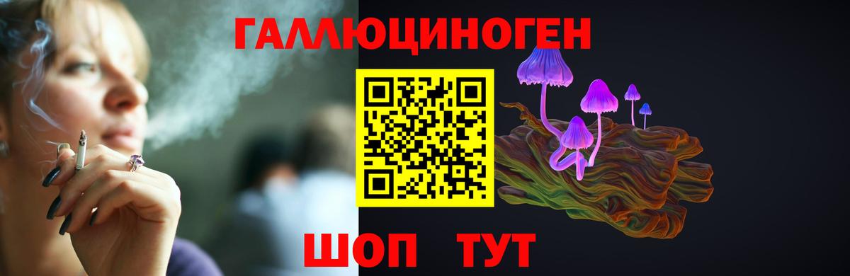 Псилоцибиновые грибы ЛСД Берёзовский